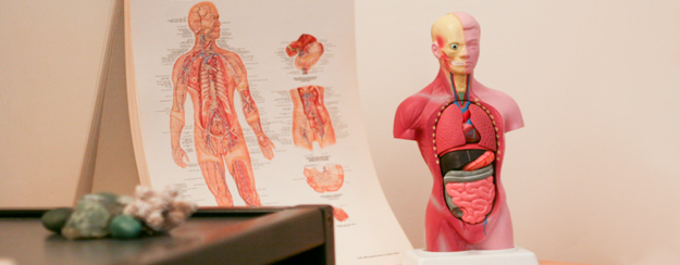 Dozentin Osteopathie Nicolle Homann